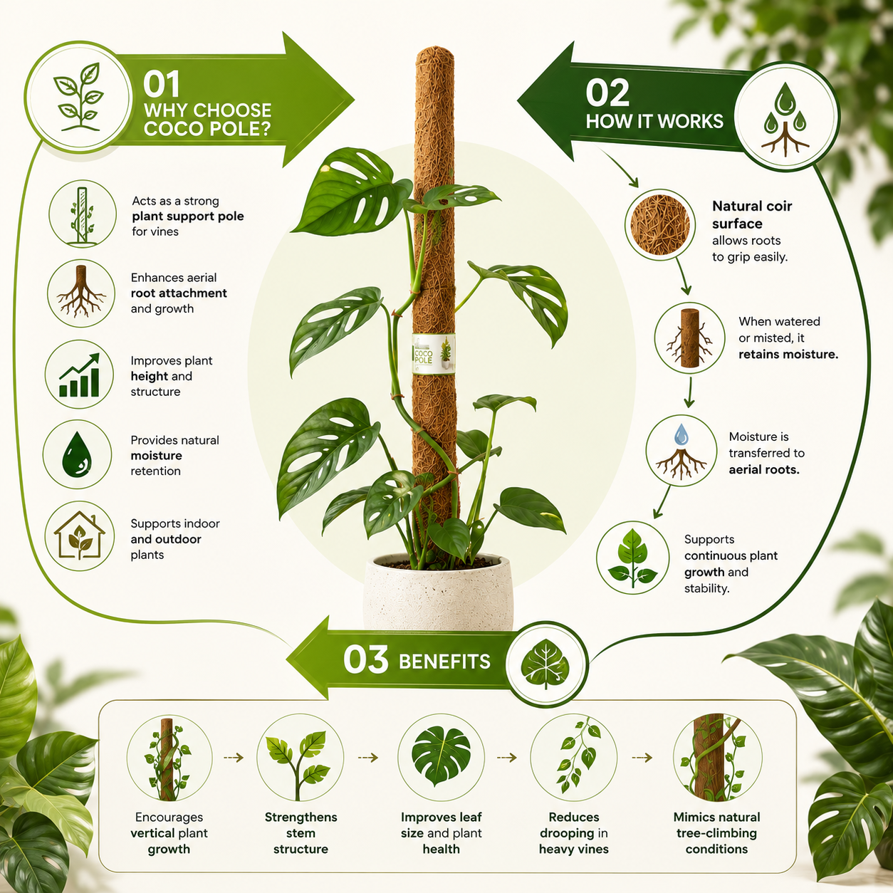CocoCoil coco coir potting poles, featuring a central image of a Monstera plant wrapped in a brown coco coir pole.