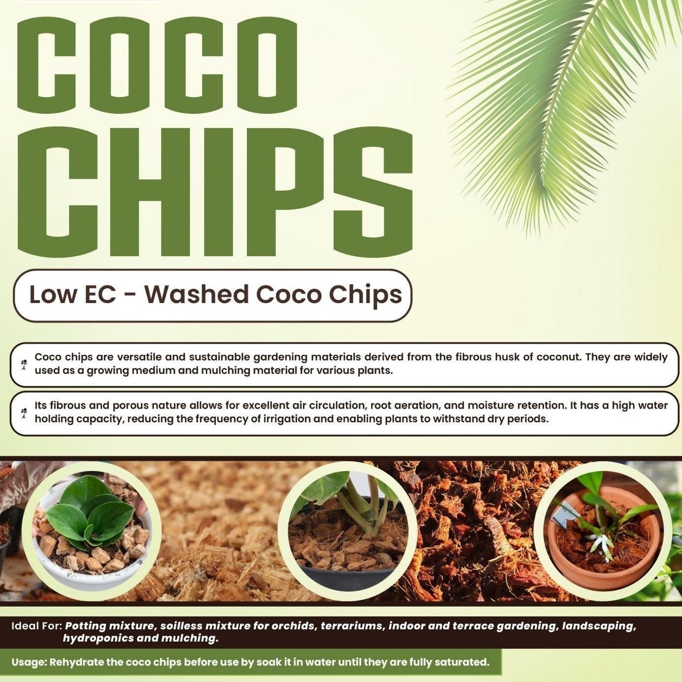 Go4ganics coco chips for growing plants, low EC coco coir chips in a container, ideal as growing media for healthy plant development.