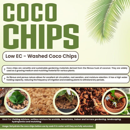 Go4ganics coco chips for growing plants, low EC coco coir chips in a container, ideal as growing media for healthy plant development.