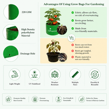  Go4ganics grow bags for vegetable gardening, shown in plants growing inside for versatile gardening.