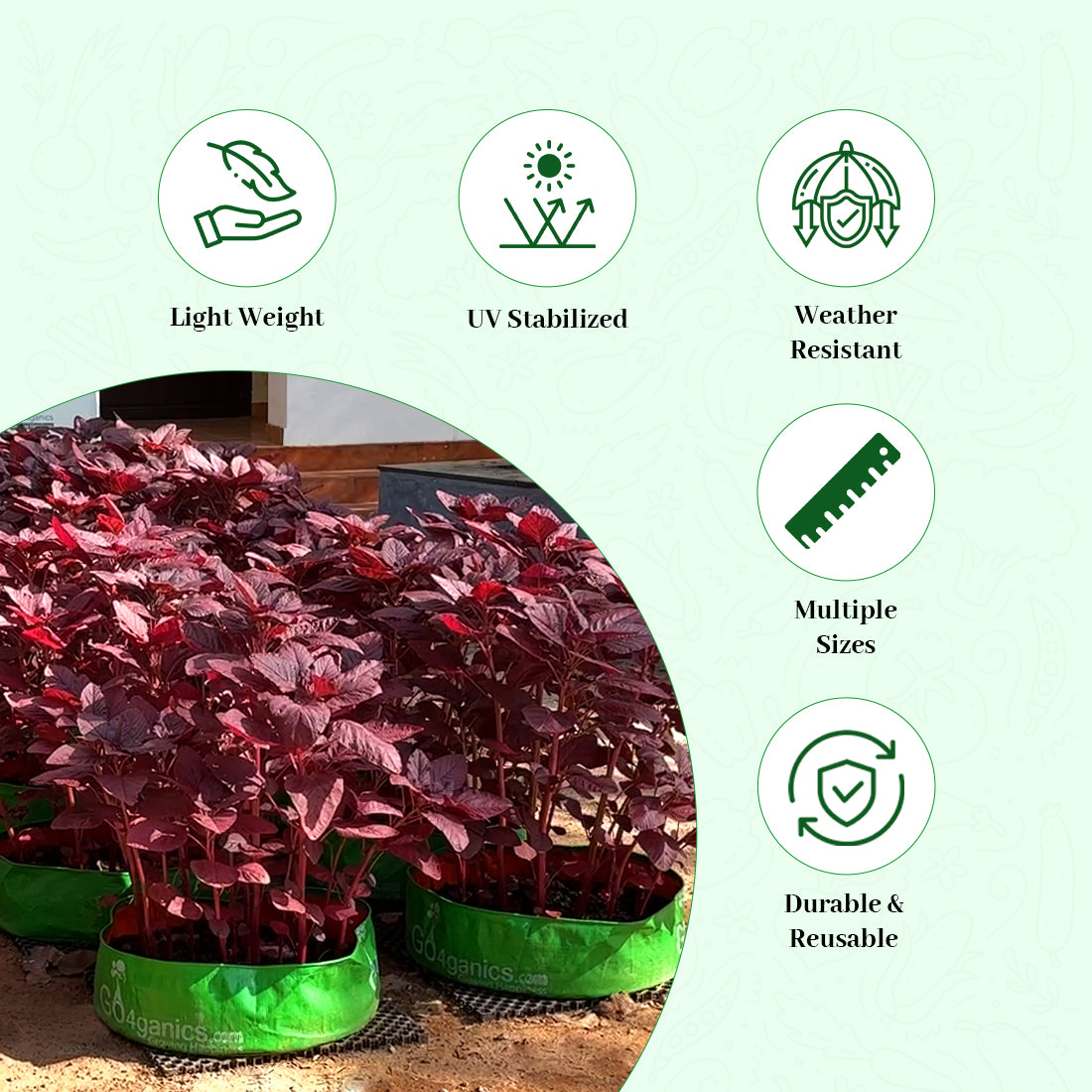 GO4ganics All Size HDPE Grow Bags for vegetables and Gardening