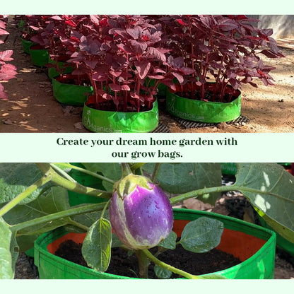 GO4ganics All Size HDPE Grow Bags for vegetables and Gardening