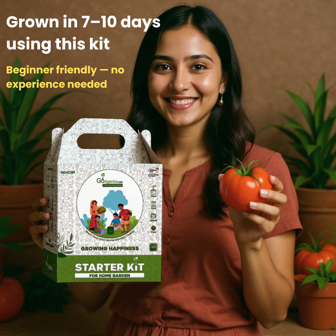Go4ganics_home_garden_kit_with_seeds_and_fertilizer_for_plant-_2