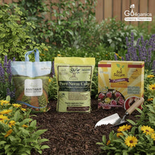 Nutrient Supplement Combo