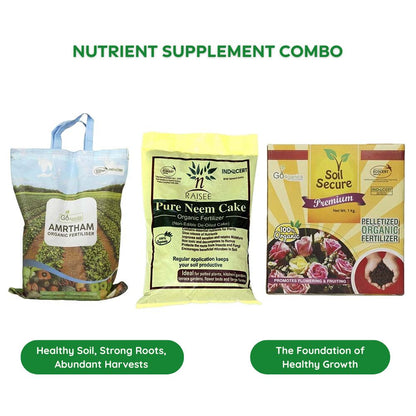 Nutrient Supplement Combo