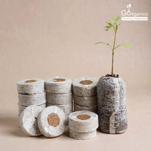 Cocopeat Coins (50 Pcs)