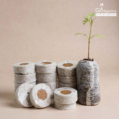 Cocopeat Coins (50 Pcs)