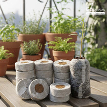 Cocopeat Coins (50 Pcs)