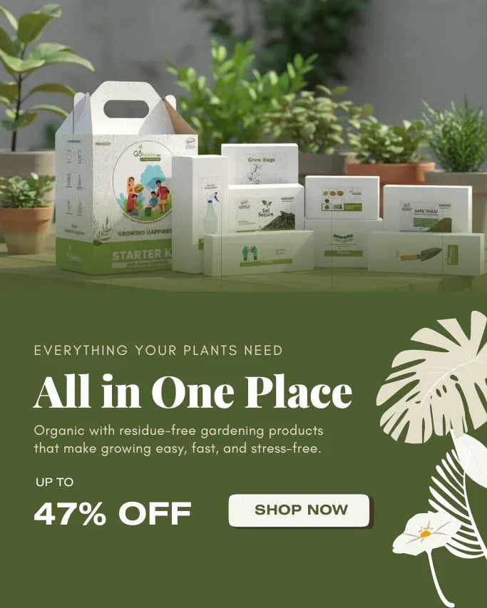 Go4ganics starter kits home garden kit with seeds and fertilizer