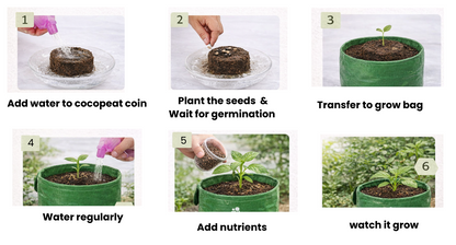 Home Garden Starter Kit - Grow Fresh, Organic Vegetables in Your Balcony - Go4ganics