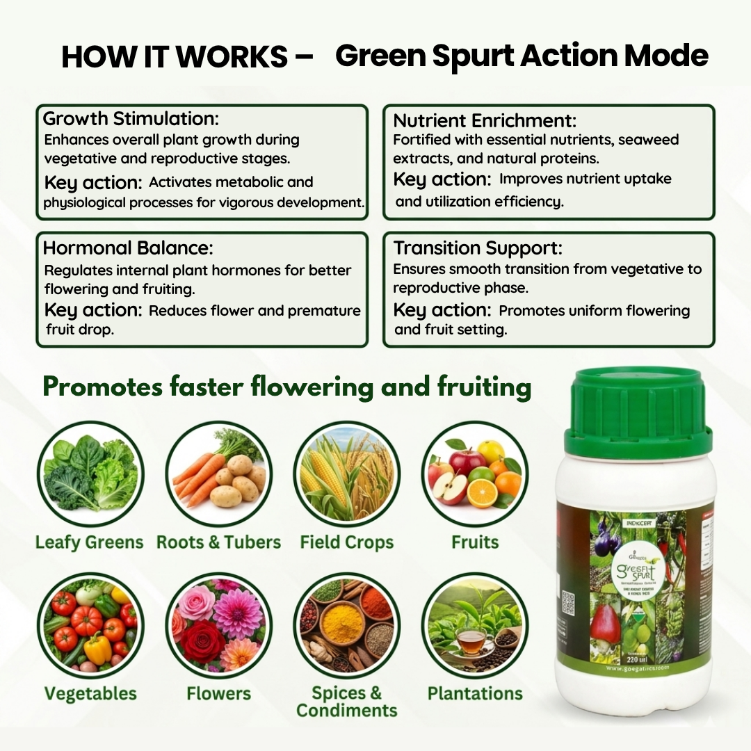Greenspurt Plant Growth Booster infographic showing action mode for faster flowering, fruiting, and nutrient absorption in vegetables and fruits.