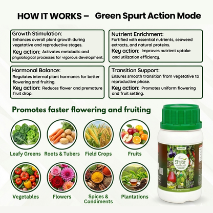 Greenspurt Plant Growth Booster infographic showing action mode for faster flowering, fruiting, and nutrient absorption in vegetables and fruits.