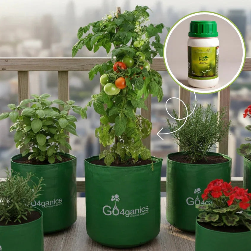 Growbag and pant protector for gardening - go4ganics