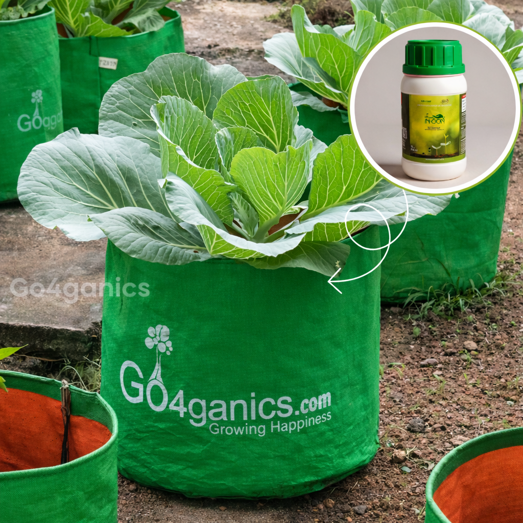 Growbag_and_pant_protector_for_gardening_at_go4ganics