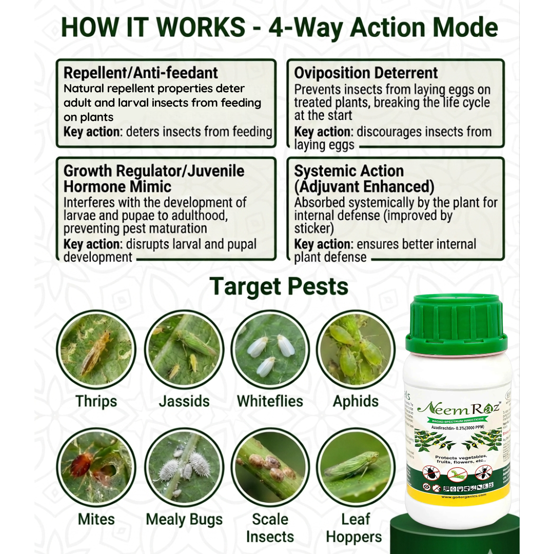 Neem Raz Organic Pest Control infographic showing 4-way action against Thrips, Aphids, Mites, and Mealy Bugs for home gardens