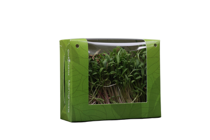 Palak Microgreens
