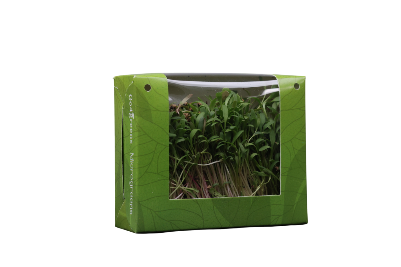 Palak Microgreens