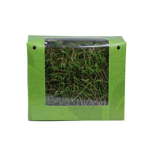 Carrot Microgreens