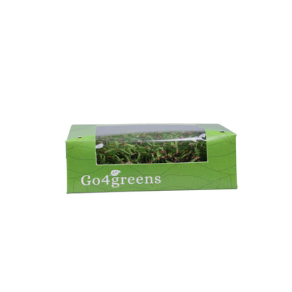 Carrot Microgreens