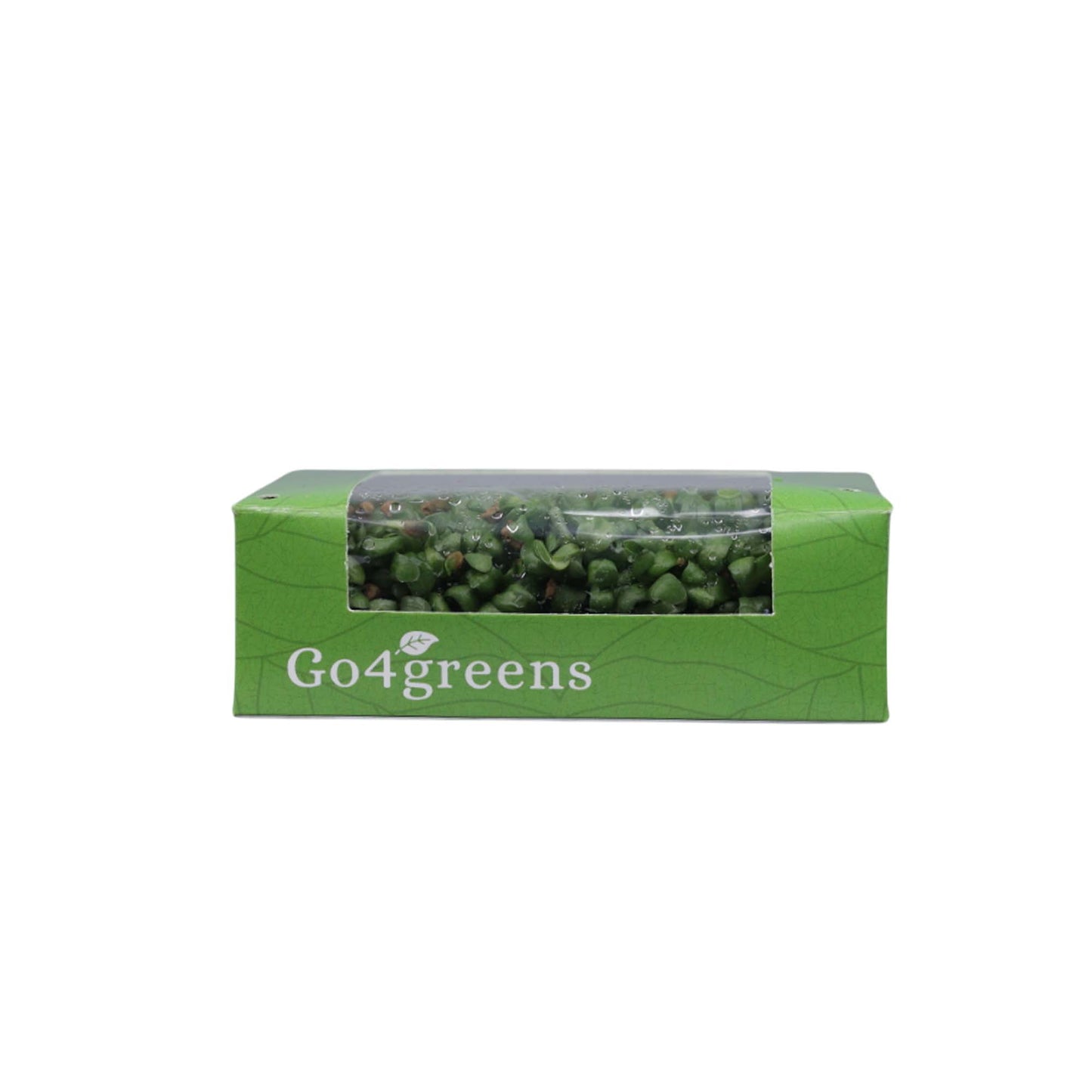 Fenugreek Microgreens