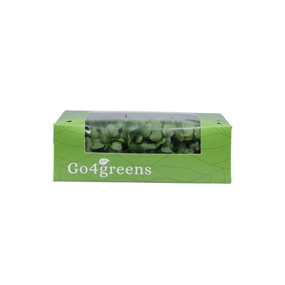White Radish Microgreens