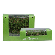 Carrot Microgreens
