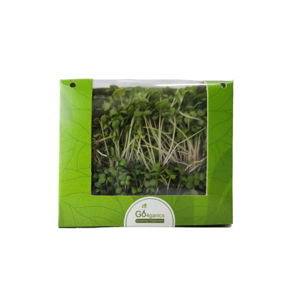 Mustard Microgreens