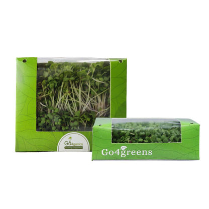 Mustard Microgreens