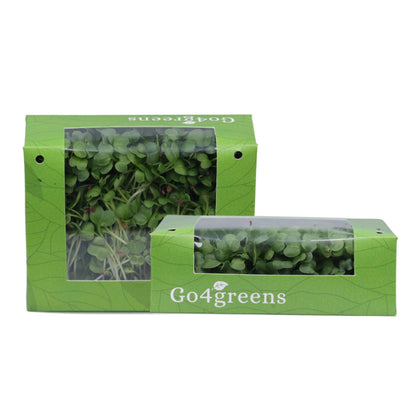 White Radish Microgreens