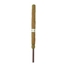 Coco Pole