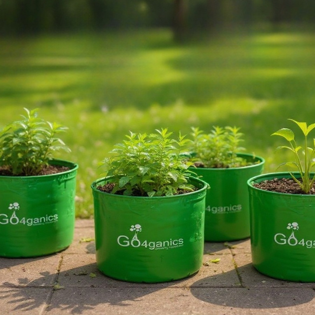 Set of five HDPE grow bags for vegetables by Go4ganics, ideal for terrace and balcony gardening, shown filled with plants.