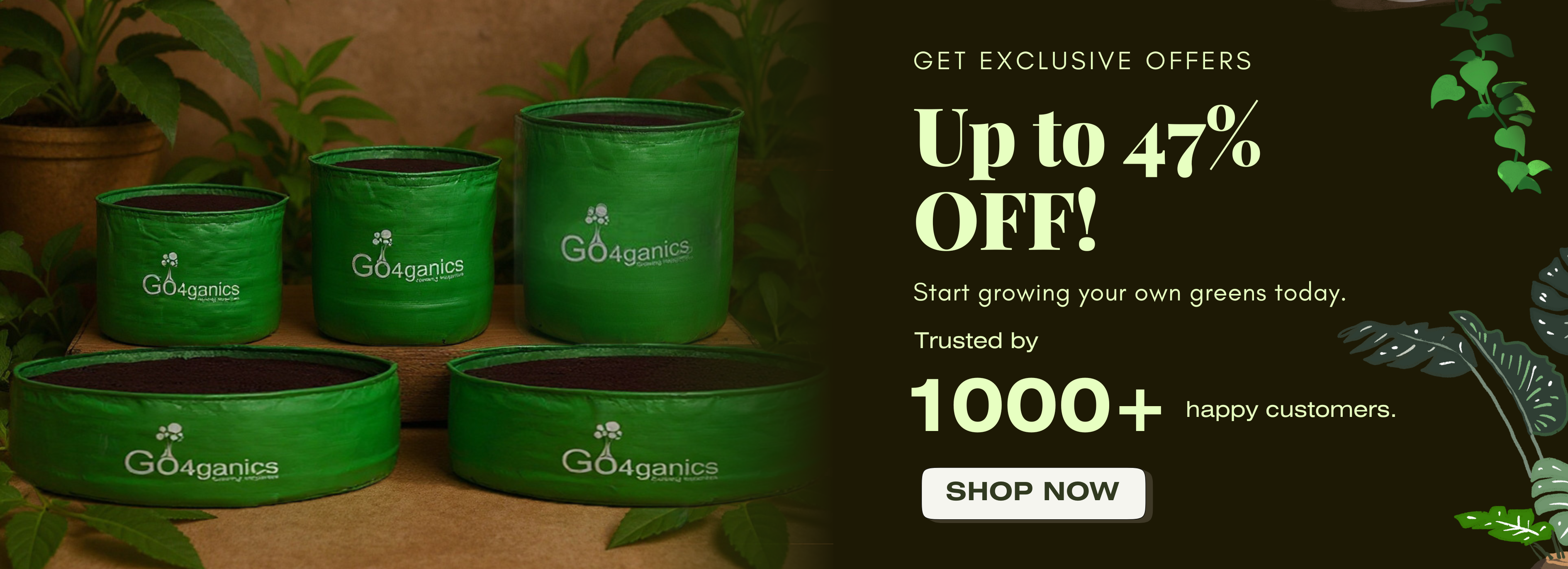 Vegitable gardening growbag for home balcony