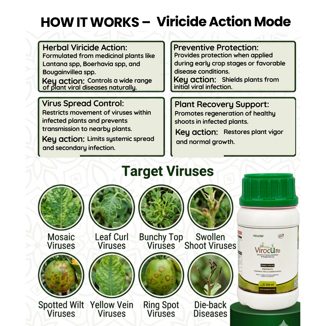 Virocure Organic Antiviral infographic showing action mode against Mosaic Virus, Leaf Curl, and Yellow Vein for healthy, high-yield plants