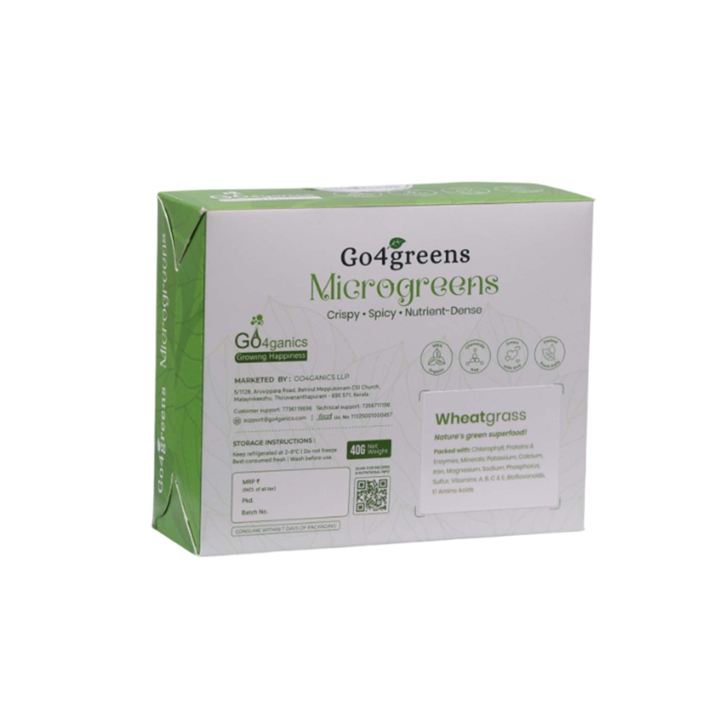 Wheatgrass Microgreens