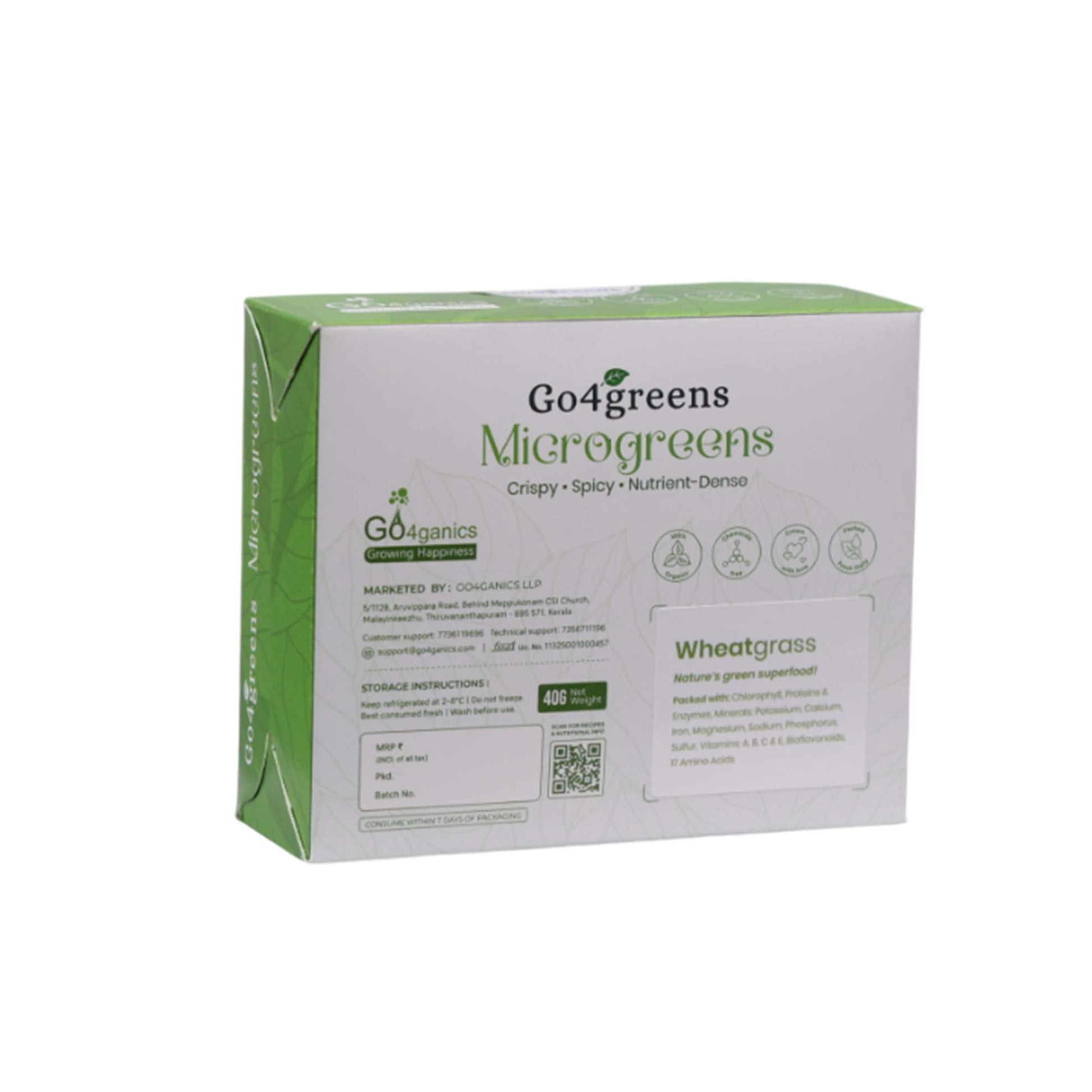 Wheatgrass Microgreens