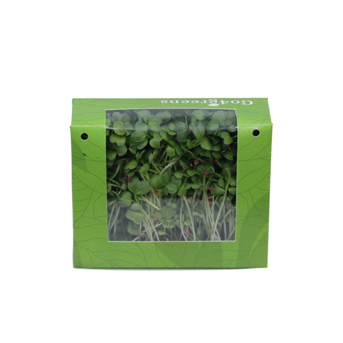 White Radish Microgreens