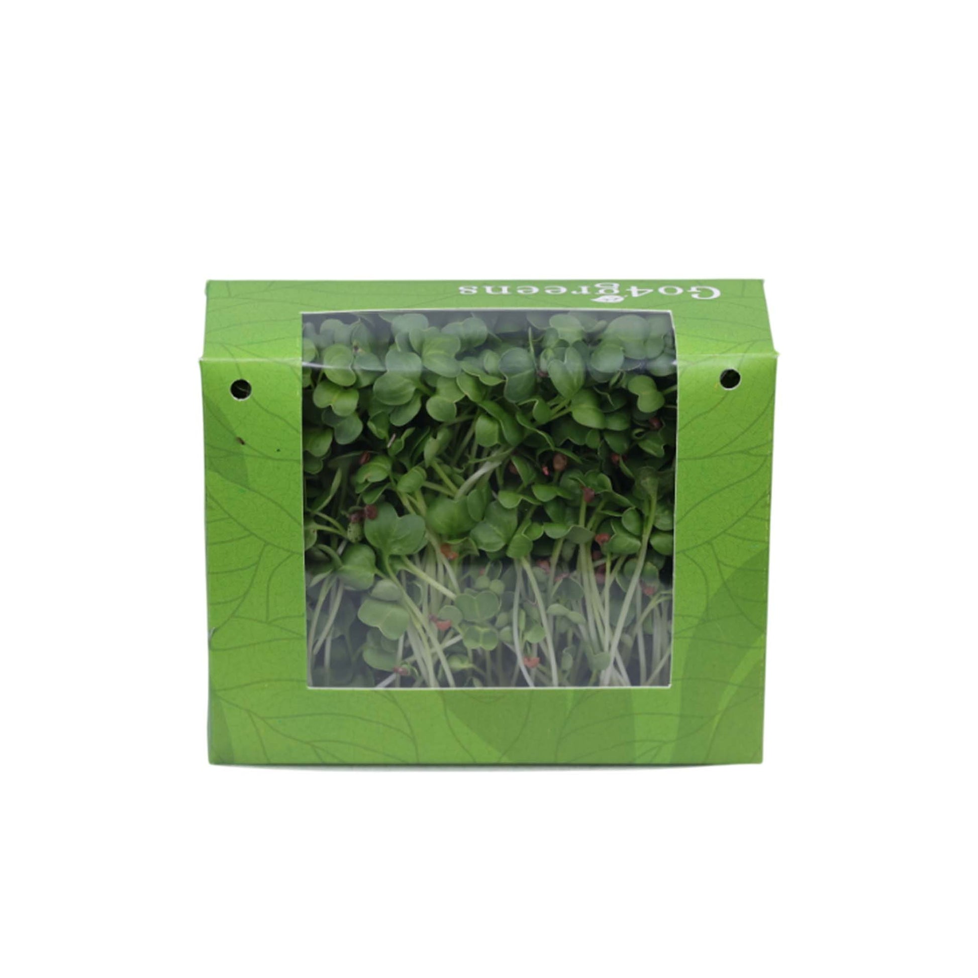 White Radish Microgreens