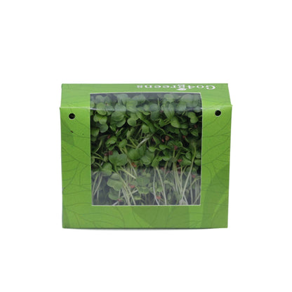 White Radish Microgreens