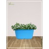 Antariksh Pot