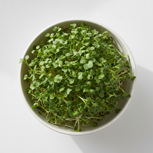 Broccoli Microgreens