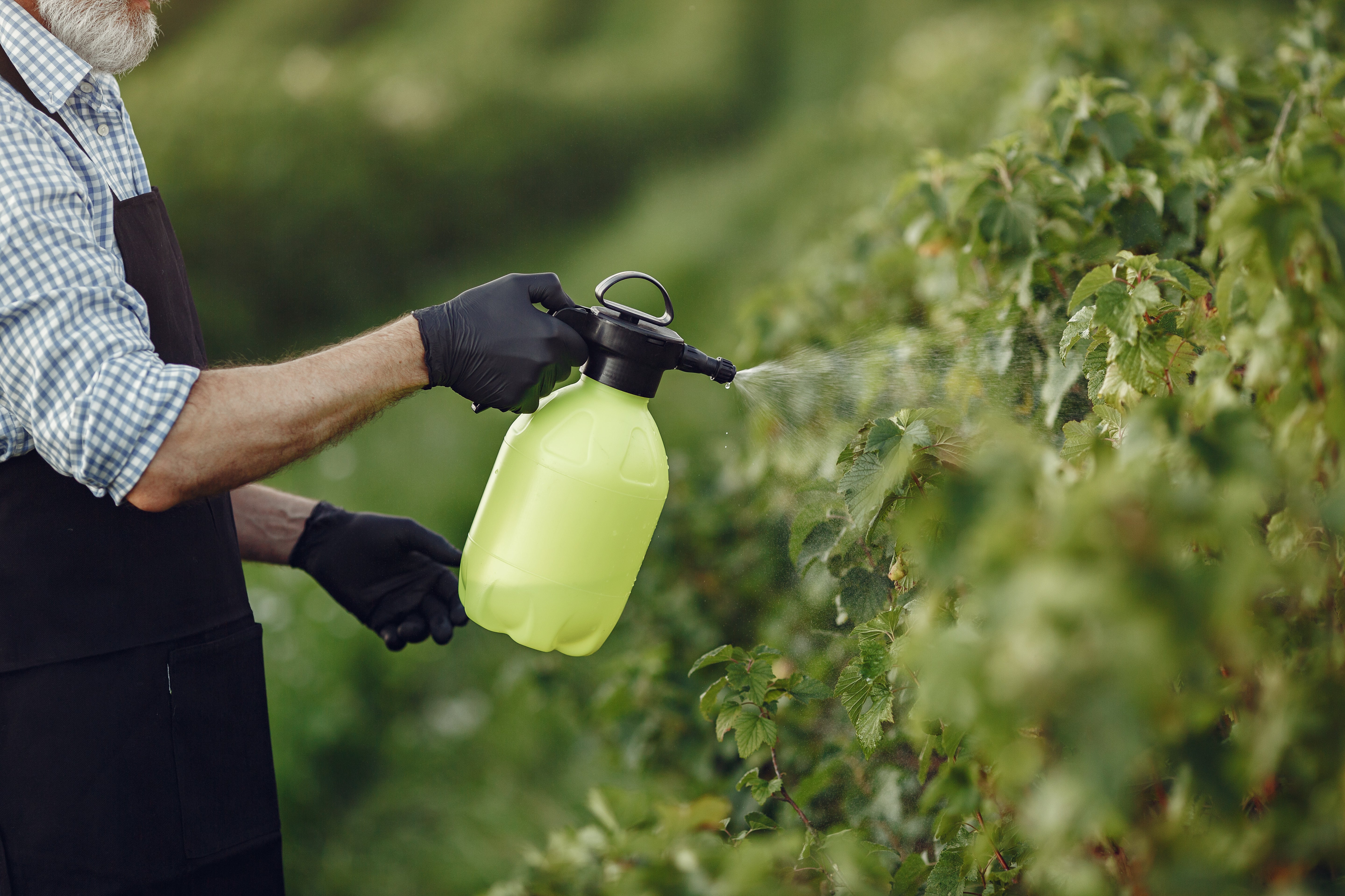 Plant protection
