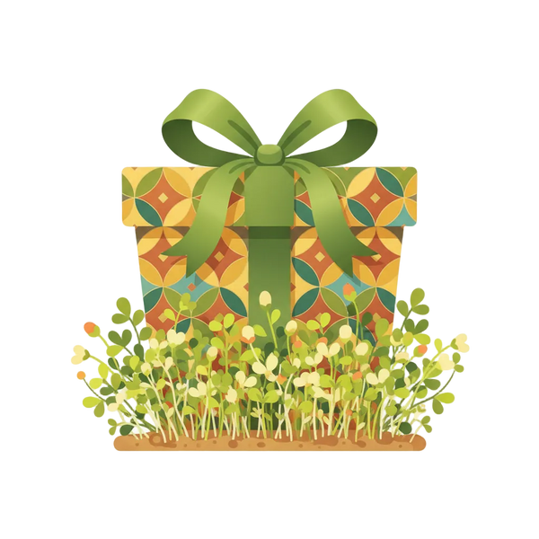Gift Box Illustration