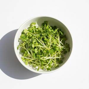 Mustard Microgreens