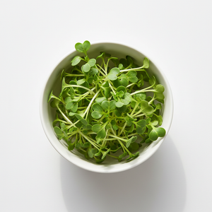 Pak Choi Microgreens