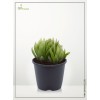 Plant Grower Pot