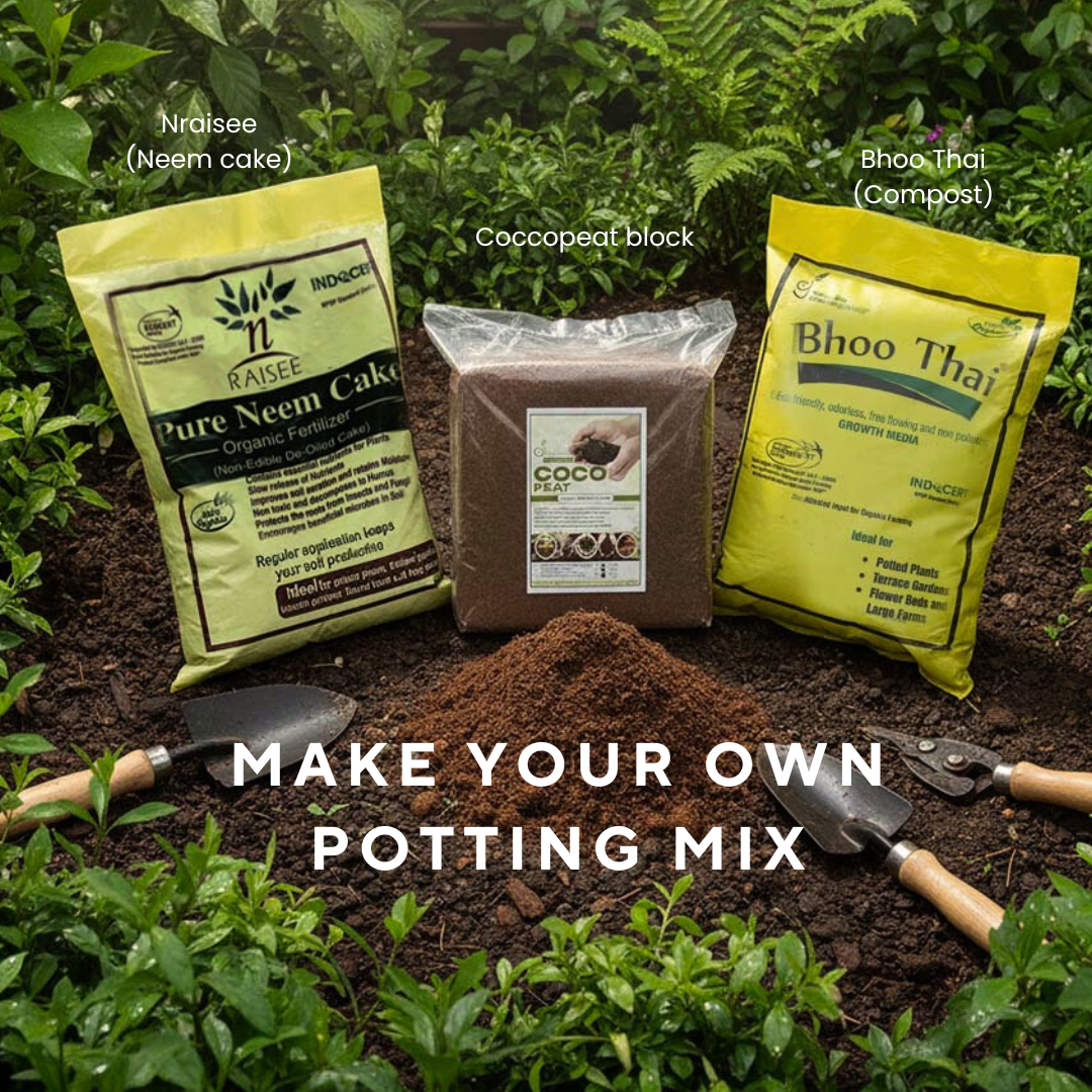 Organic compost potting mix for houseplants, part of Go4ganics 3-in-1 combo, with a bag of rich, natural soil for healthy plant growth.