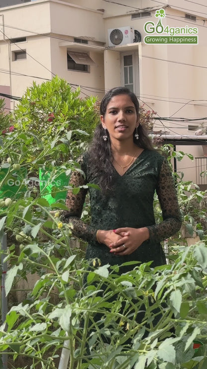 Go4ganics Soil Secure (De-Oiled Cake Fertilizer - Granule) organic plant and veggitable nutrition and fertilizer 