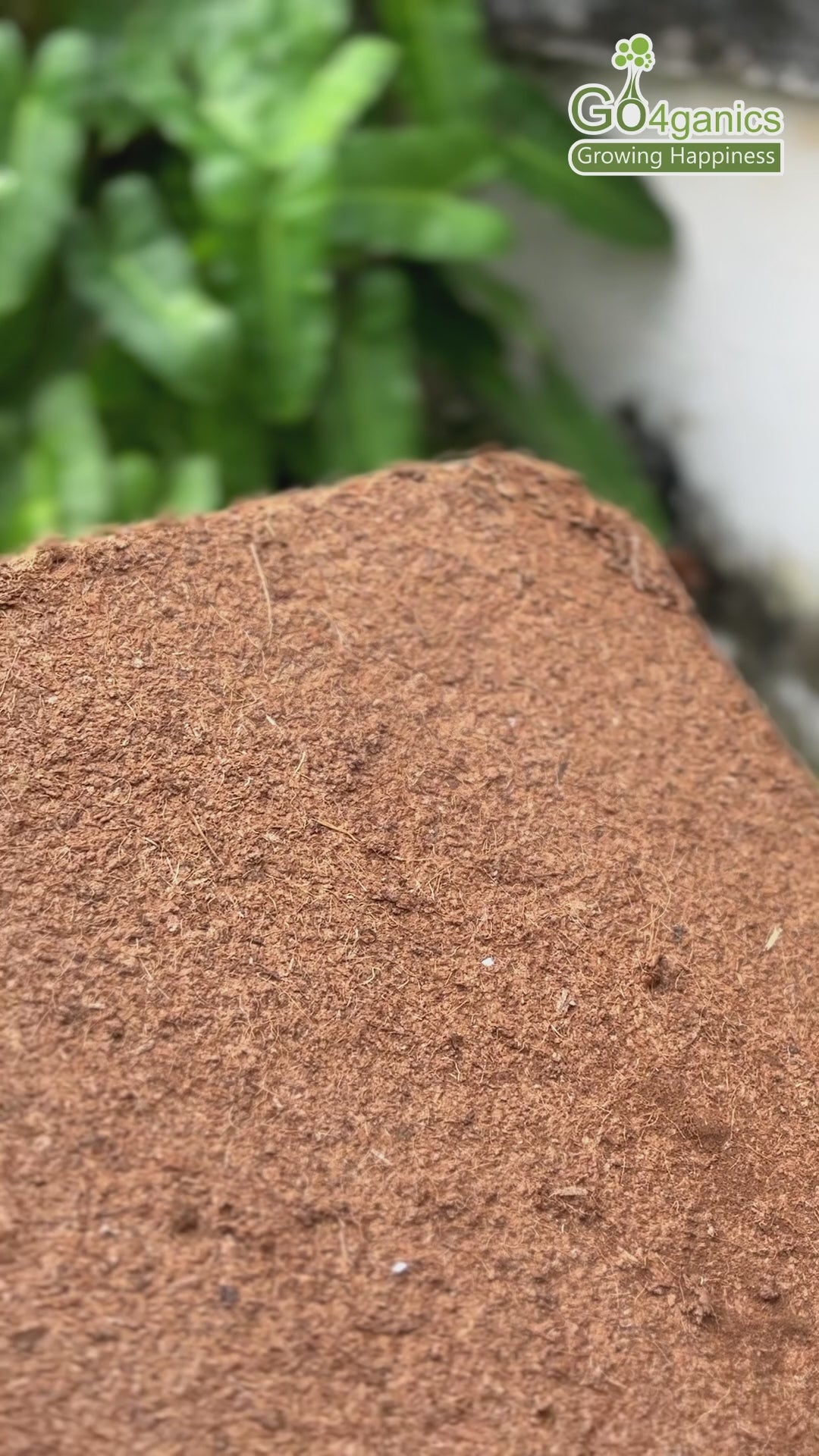 Cocopeat Block - Low EC - Washed.