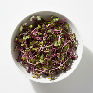 Purple Radish Microgreens