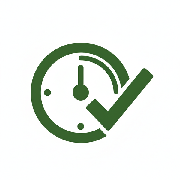 Save Time Icon